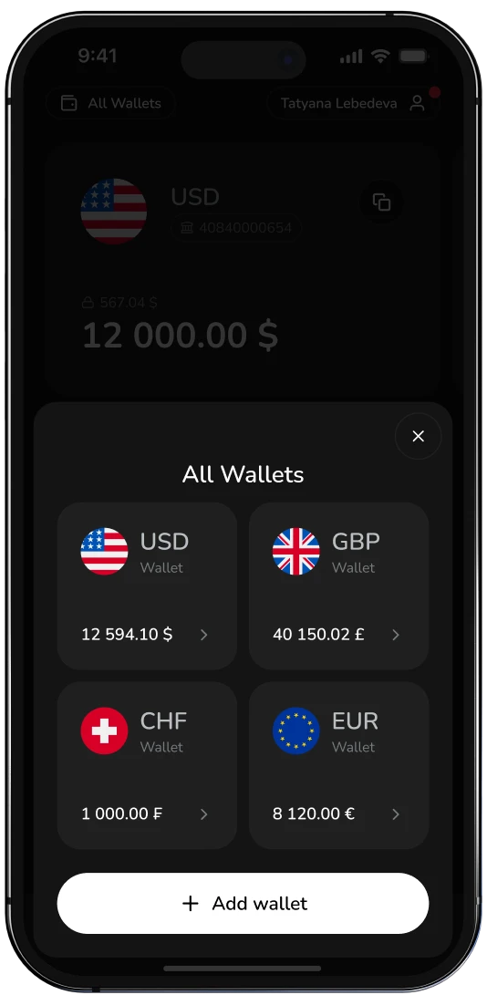 Borderless vWallet